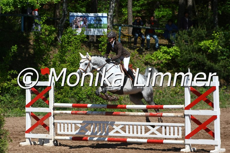 104M8452_Spring L.JPG